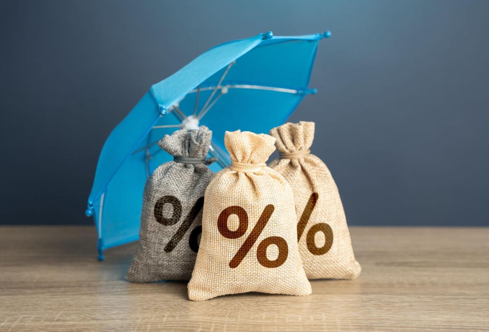 Bags of money under an umbrella signifying insurance protection.